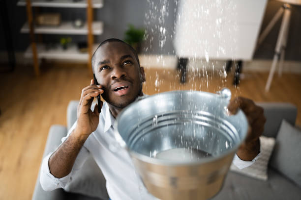 Best Water damage restoration near me  in Westover, AL