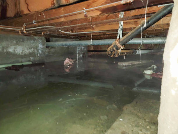 Best Water damage restoration near me  in Westover, AL