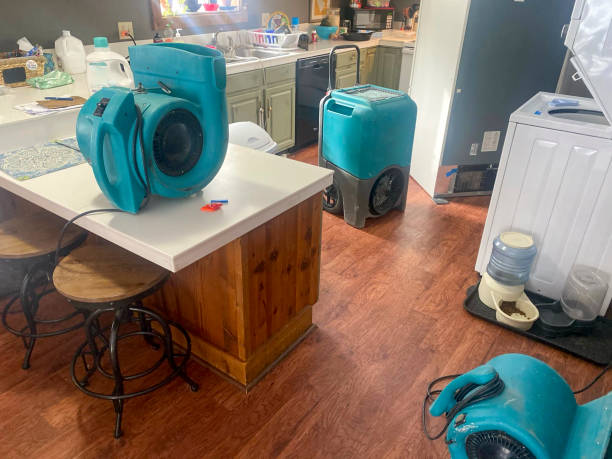 Best Commercial water damage restoration  in Westover, AL