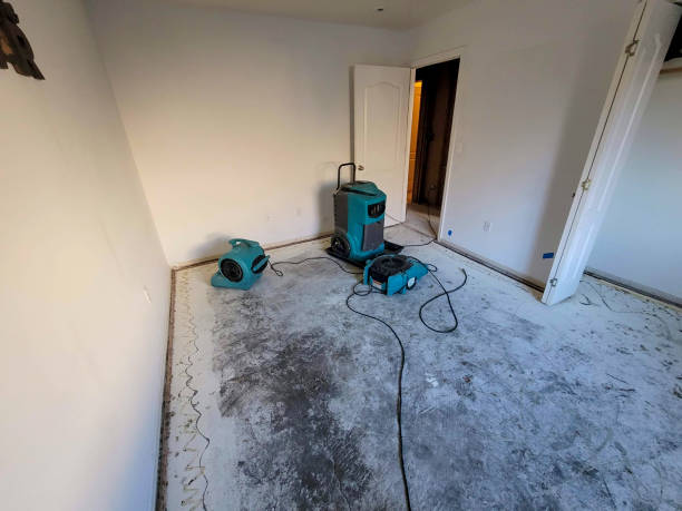 Best Residential water damage restoration  in Westover, AL
