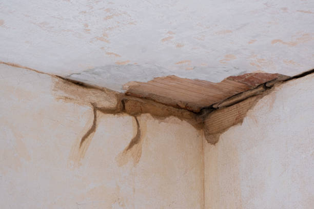 Best Flood restoration services  in Westover, AL