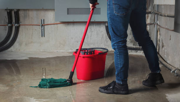 Best Carpet water damage restoration  in Westover, AL