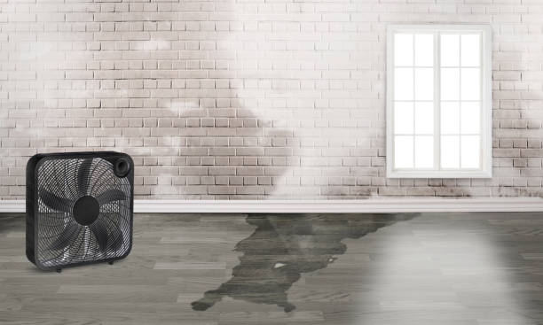 24/7 water damage repair in AL