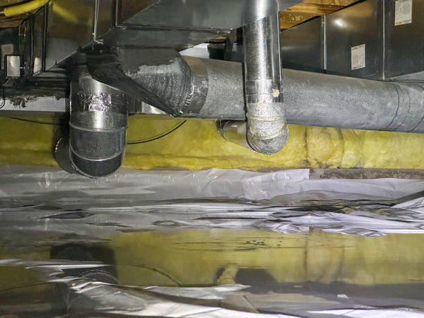 Best Mold removal after water damage  in Westover, AL