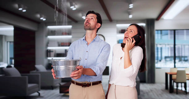 Best Flood restoration services  in Westover, AL