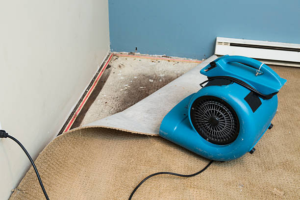 Best Sewage cleanup and water damage restoration  in Westover, AL